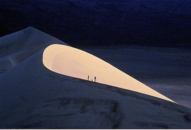 免费游戏《Rogue Company》将与《行尸走肉》联动 10月18日开启